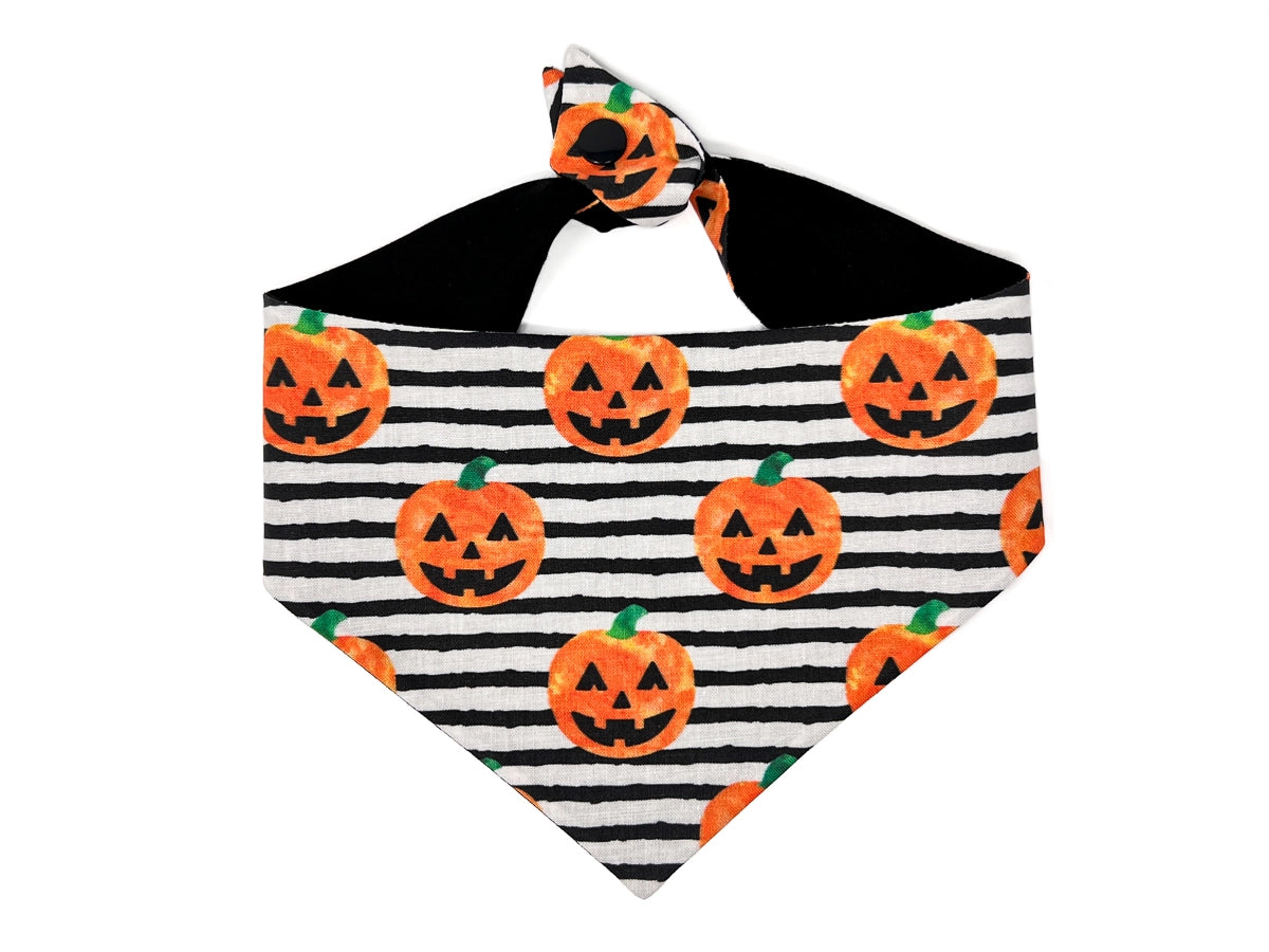 Getting Smashed Dog Bandana