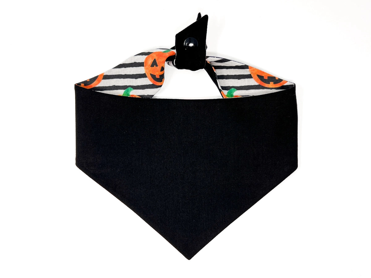 Getting Smashed Dog Bandana