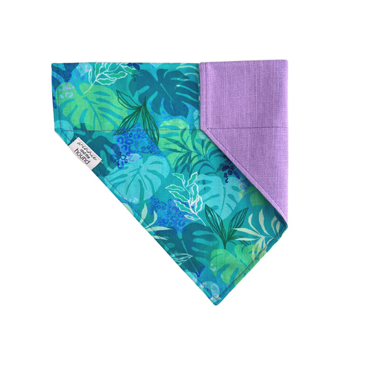 Jungle Monstera Over the Collar Dog Bandana