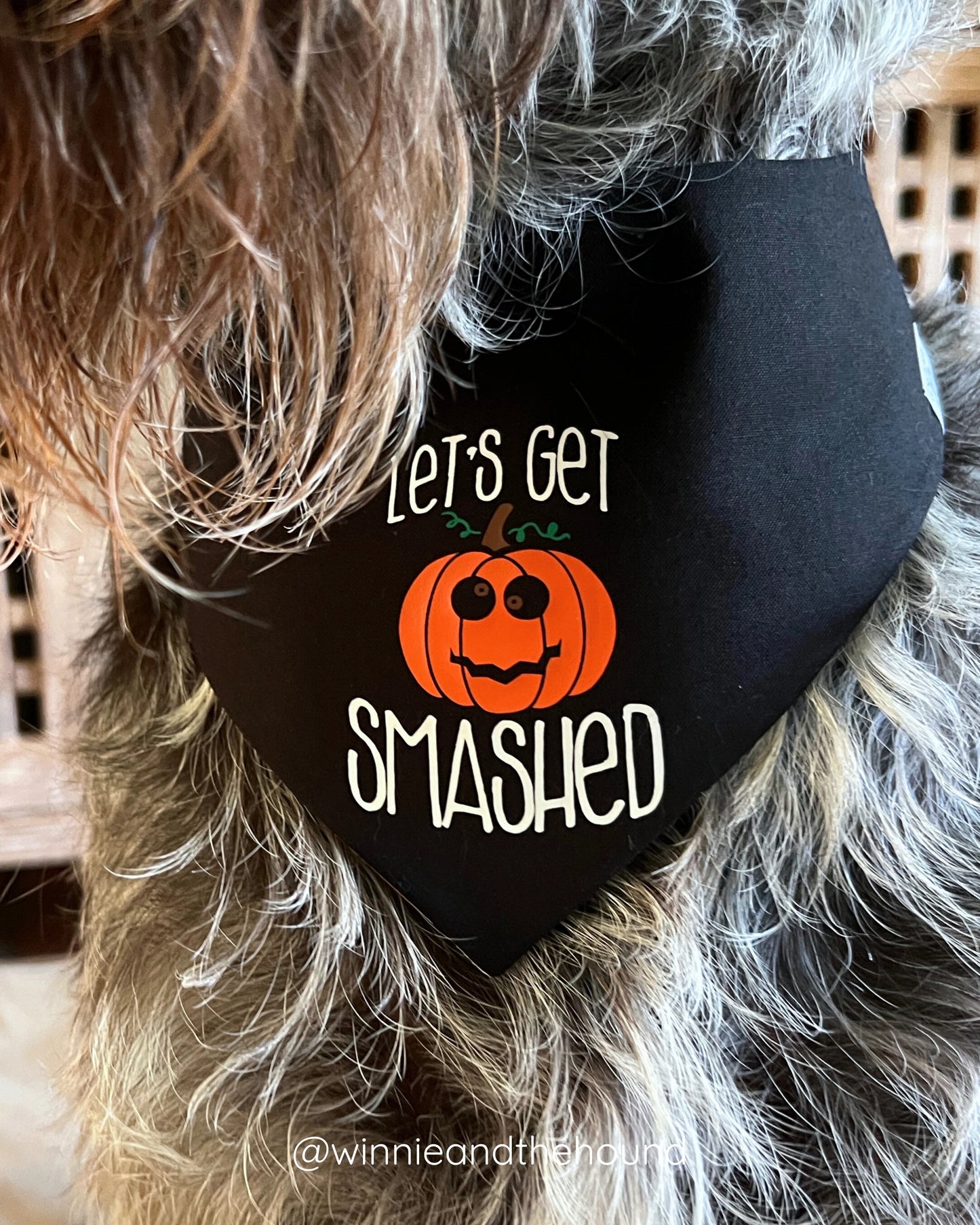 Getting Smashed Dog Bandana
