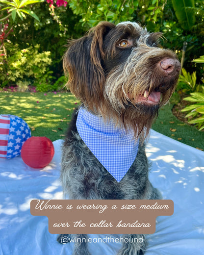 Liberty Floral Dog Bandana