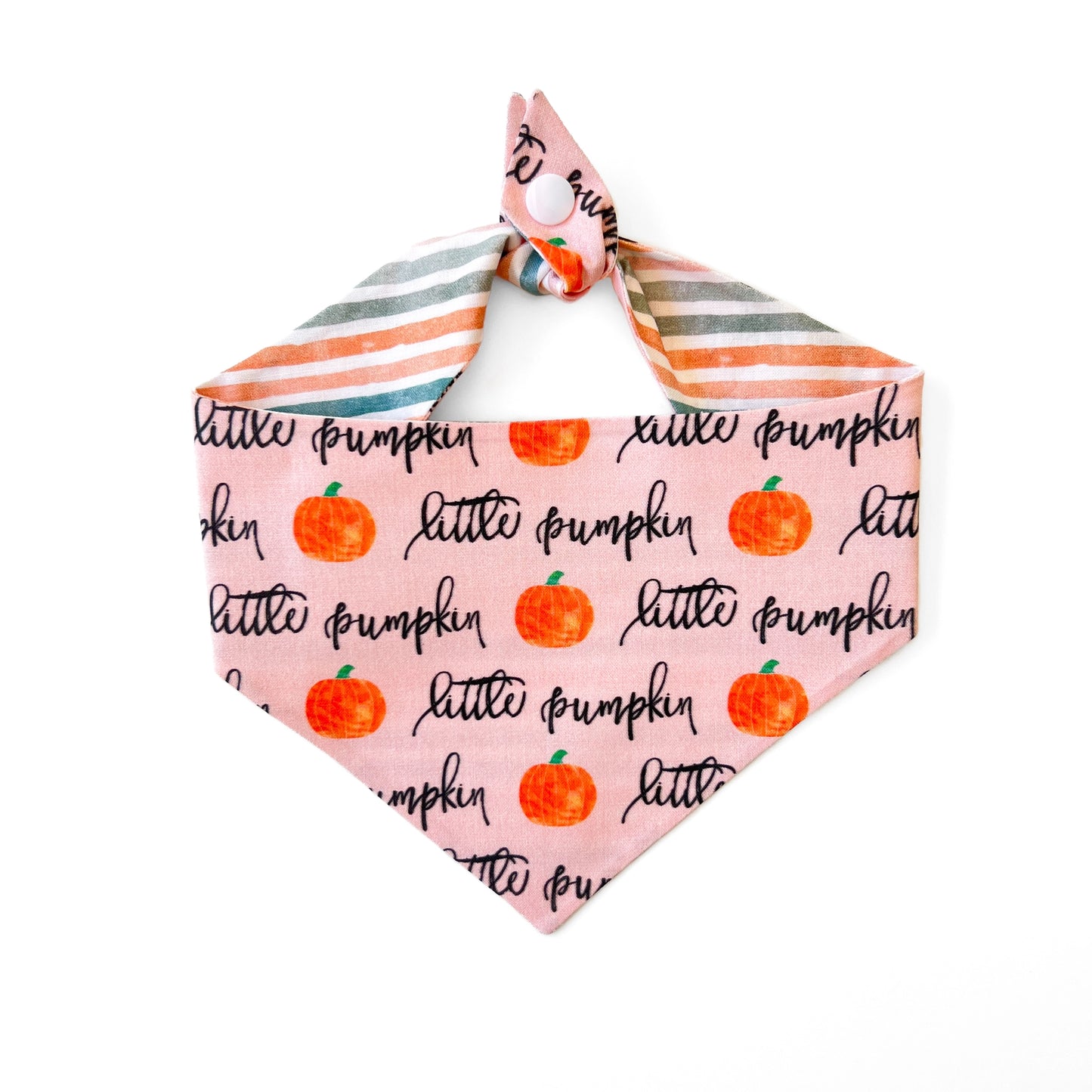 Little Pumpkin Dog Bandana