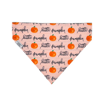 Little Pumpkin Dog Bandana