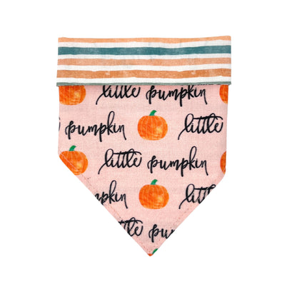 Little Pumpkin Dog Bandana