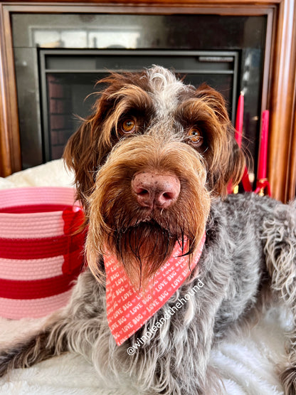 Love Bug Over the Collar Dog Bandana