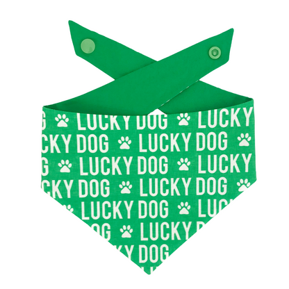 Lucky Dog Tie On Dog Bandana