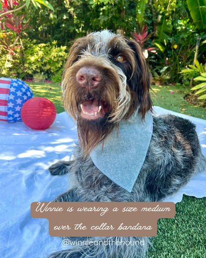 Old Glory Dog Bandana