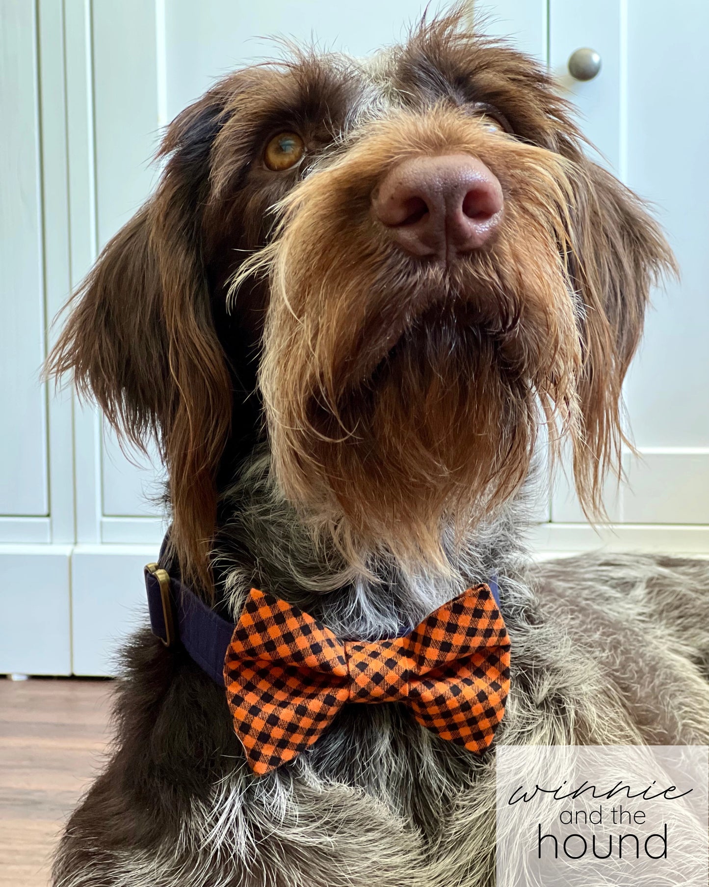 Orange and Black Check Dog Bow Tie