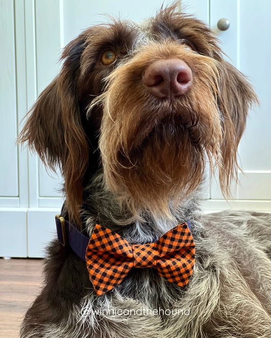 Orange and Black Check Dog Bow Tie