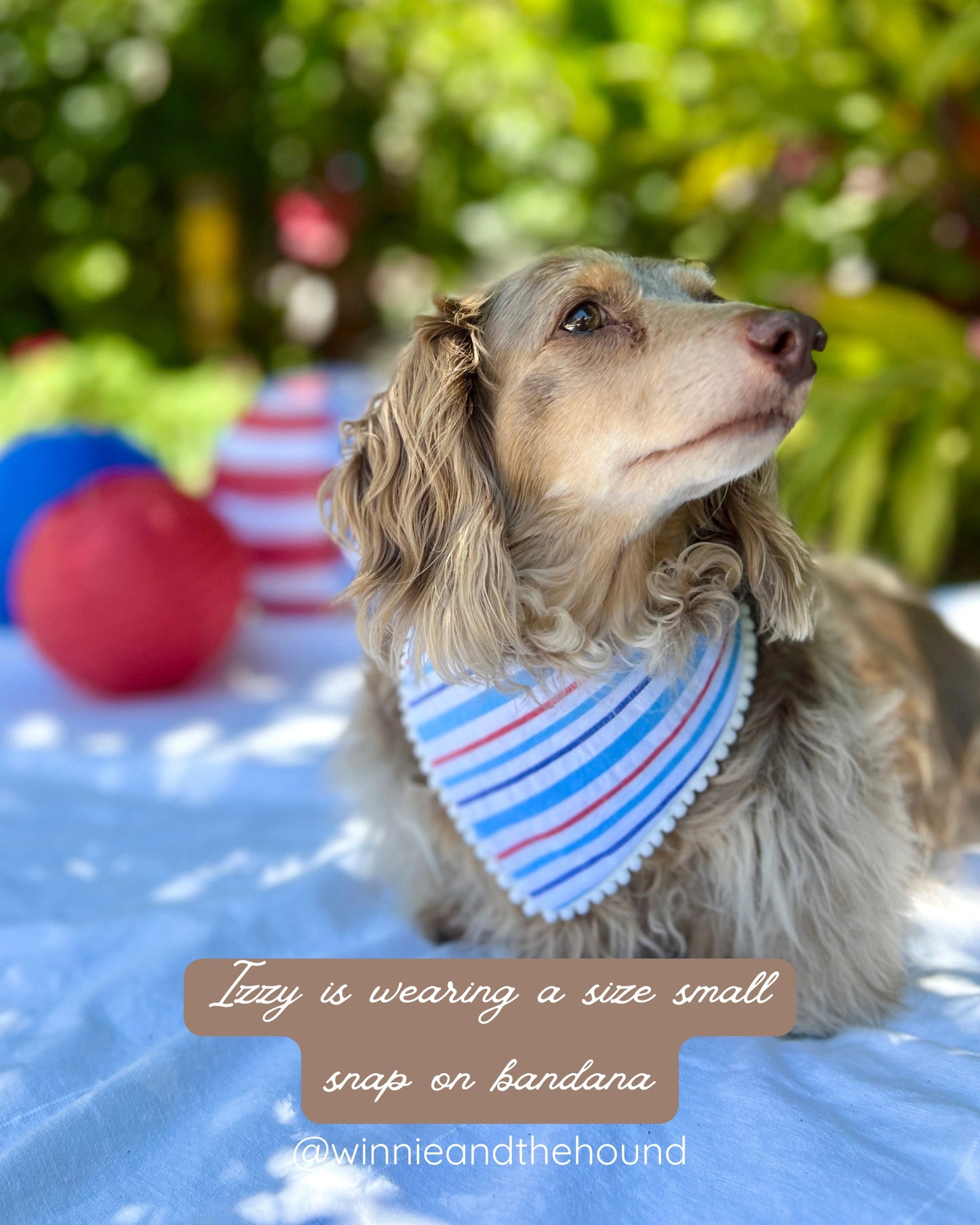 Patriotic Stripe Dog Bandana