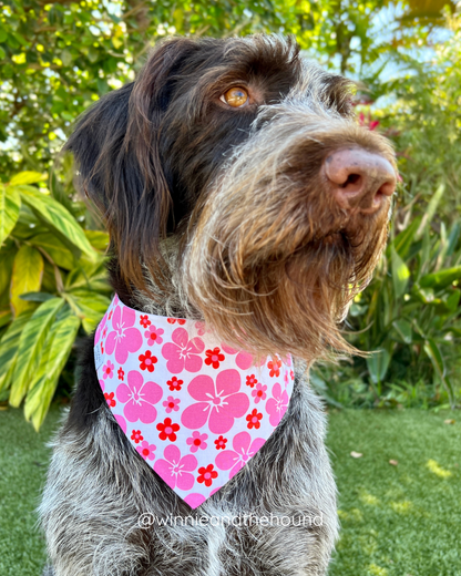 Pink Hibiscus Dog Bandana