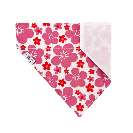 Pink Hibiscus Over the Collar Dog Bandana