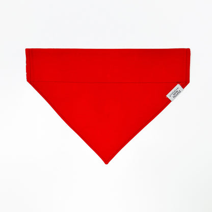 Pool Float Santa Dog Bandana