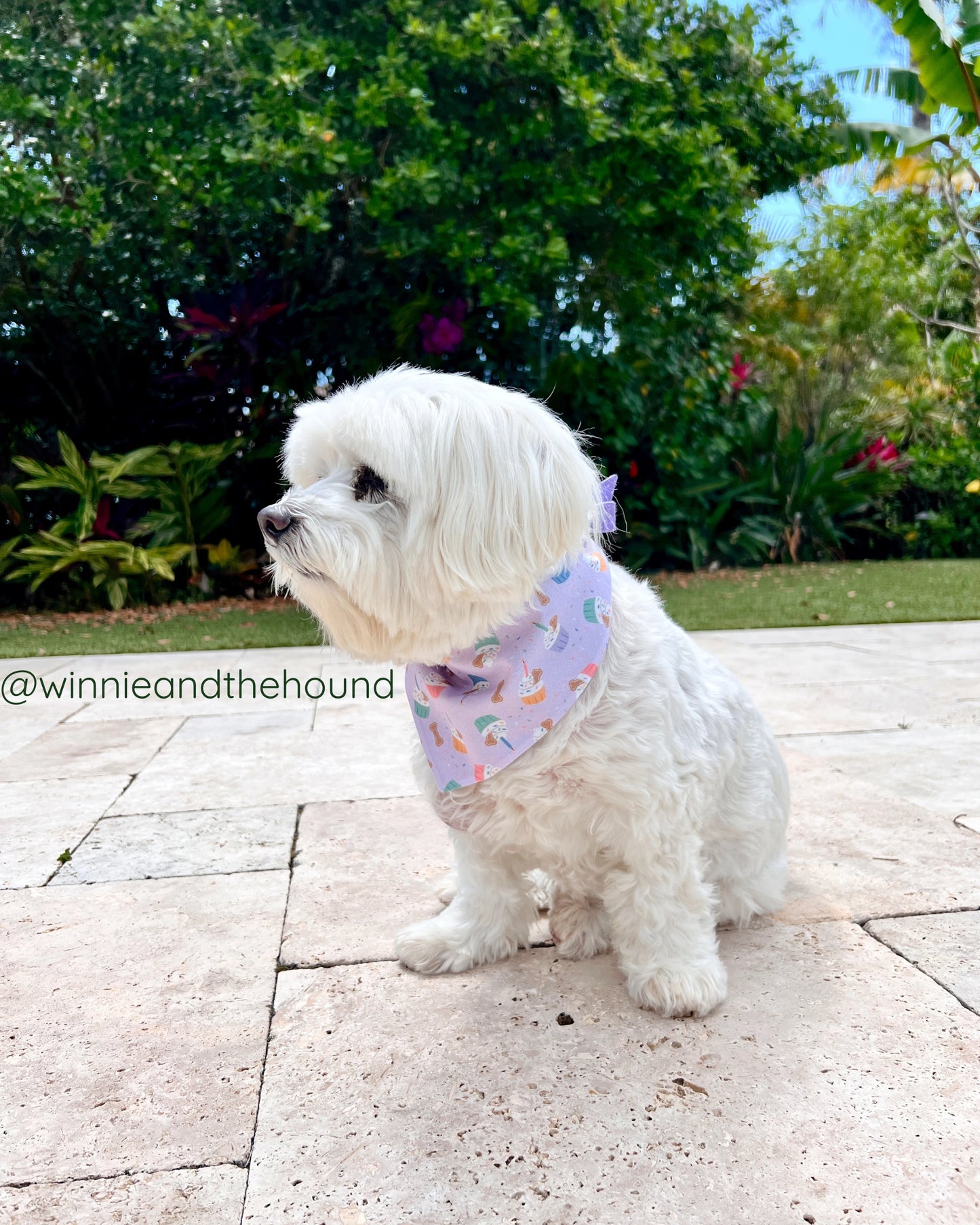 Purple Pupcake Tie On Dog Bandana