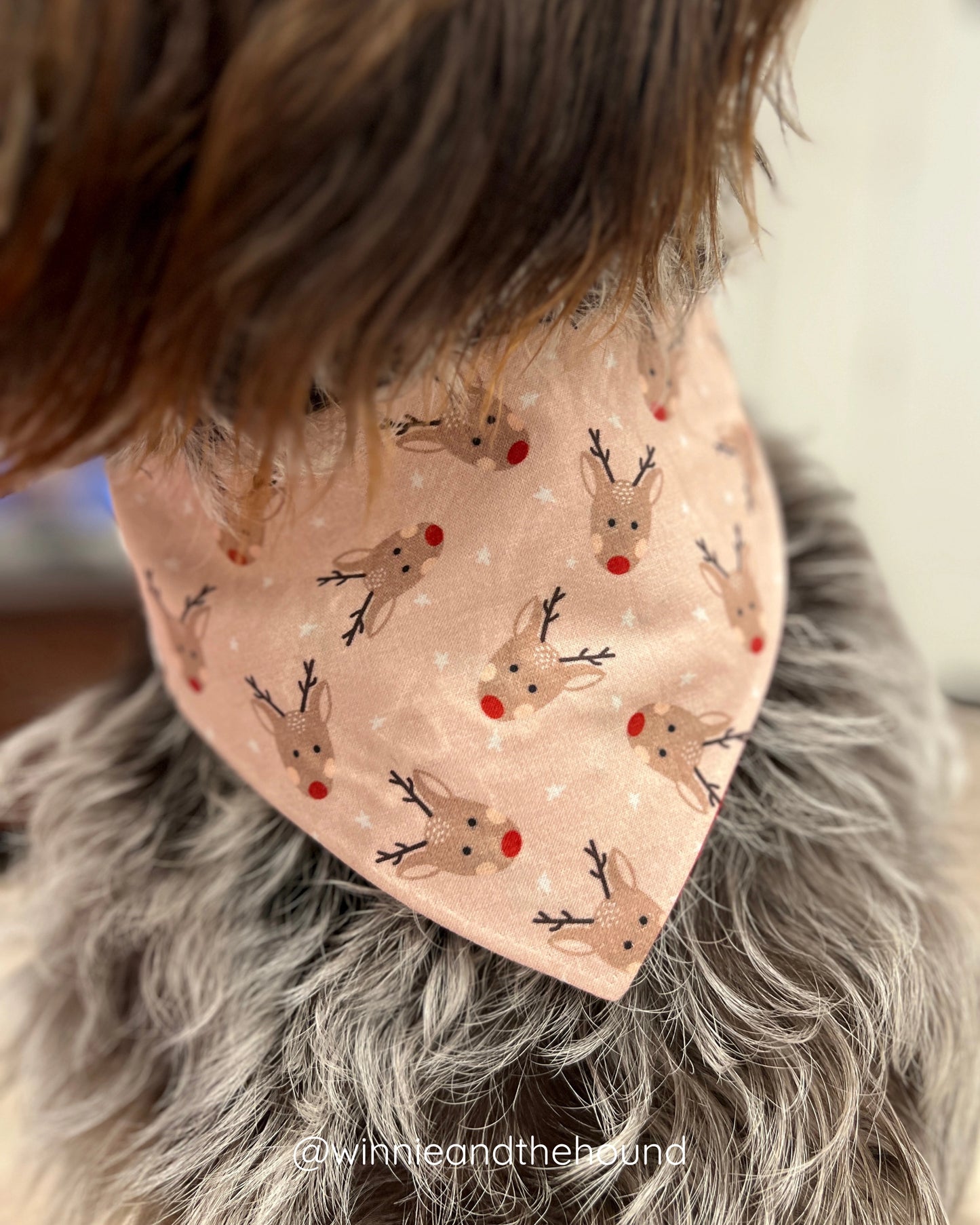 Merry Dog Bandana