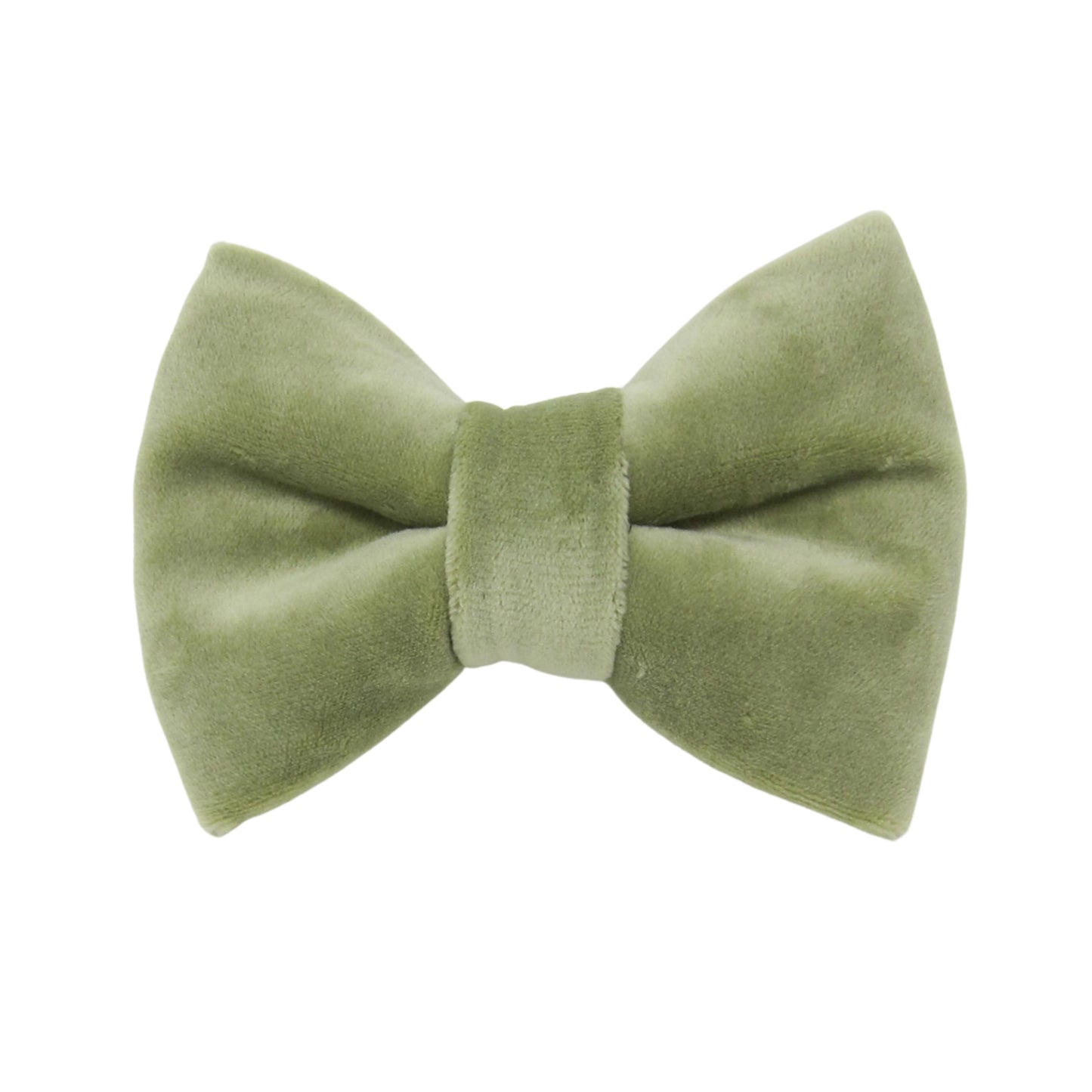 Sage Green Velveteen Dog Bow Tie