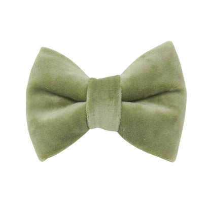 Sage Green Velveteen Dog Bow Tie