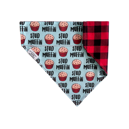 Stud Muffin Dog Bandana