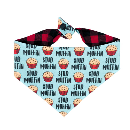 Stud Muffin Tie On Dog Bandana