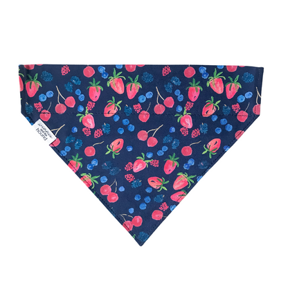 Summer Berries Over the Collar Dog Bandana