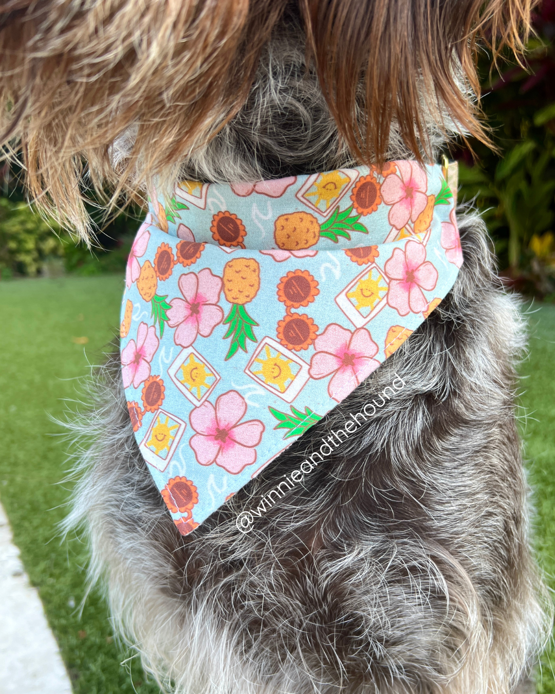 Summer Vibes Over the Collar Dog Bandana