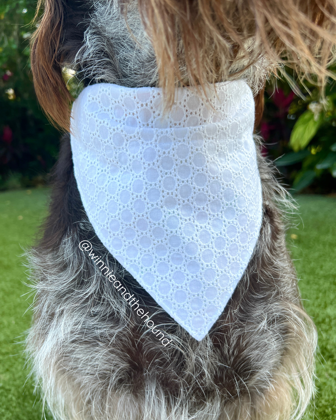 Summer Vibes Over the Collar Dog Bandana