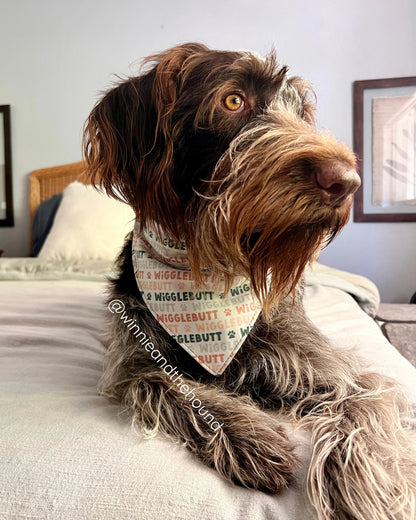 Stormy Wigglebutt Over the Collar Dog Bandana