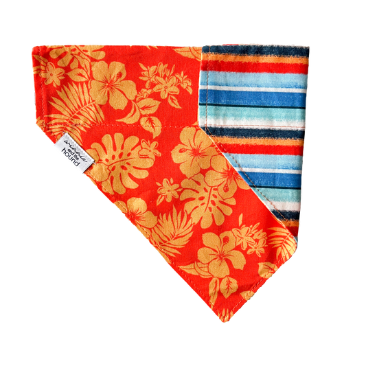 Tropical Hibiscus Over the Collar Dog Bandana