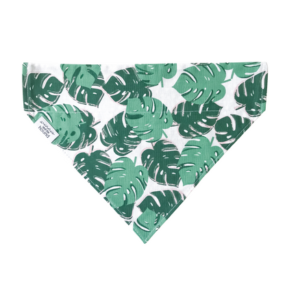 Green Monstera Dog Bandana