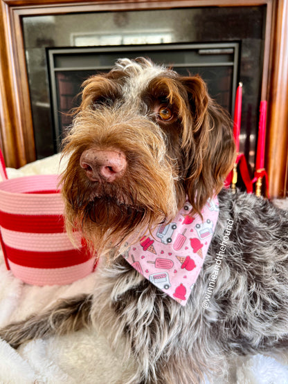 Sweet Treat Over the Collar Dog Bandana