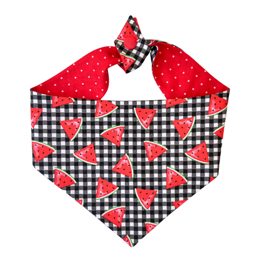 Watermelon Tie On Dog Bandana