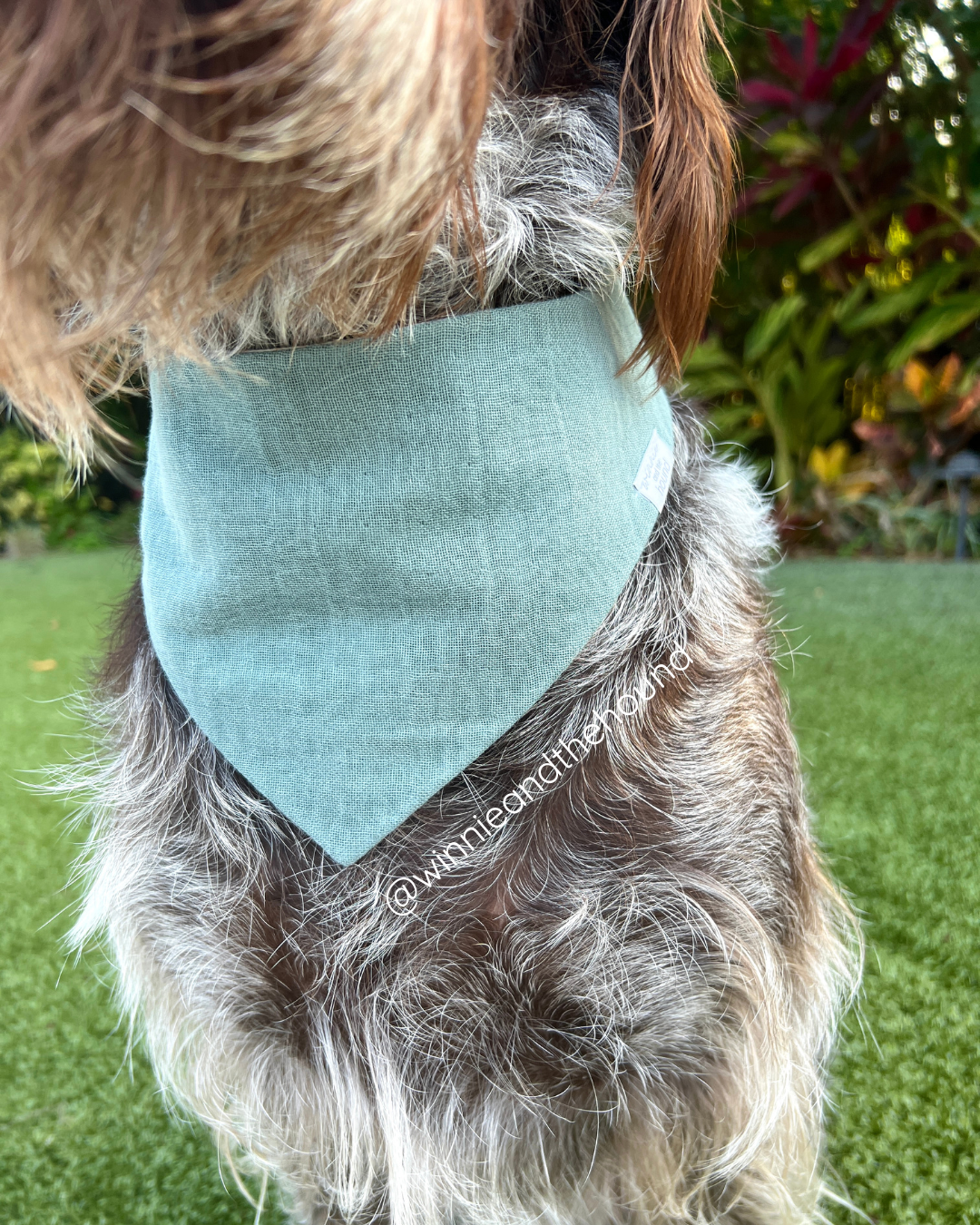 Stormy Wigglebutt Tie On Dog Bandana