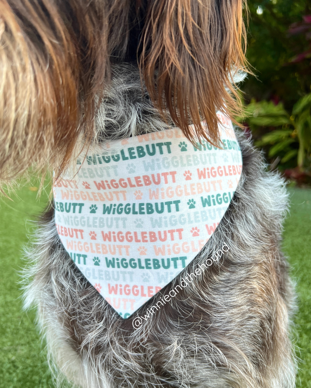 Stormy Wigglebutt Tie On Dog Bandana