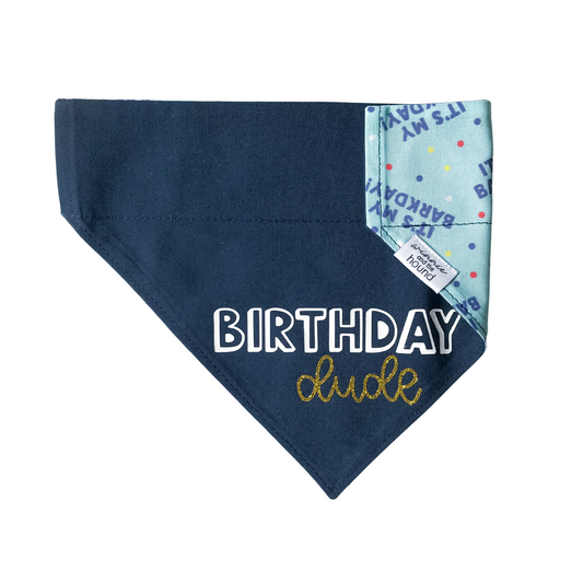 Birthday Dude Over the Collar Dog Bandana