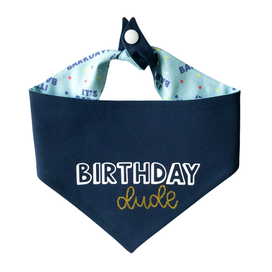 Birthday Dude Tie On Dog Bandana