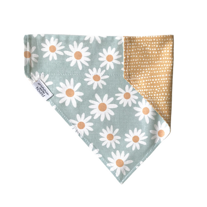 Spring Daisies Dog Bandana