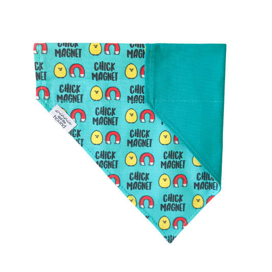 Chick Magnet Over the Collar Dog Bandana