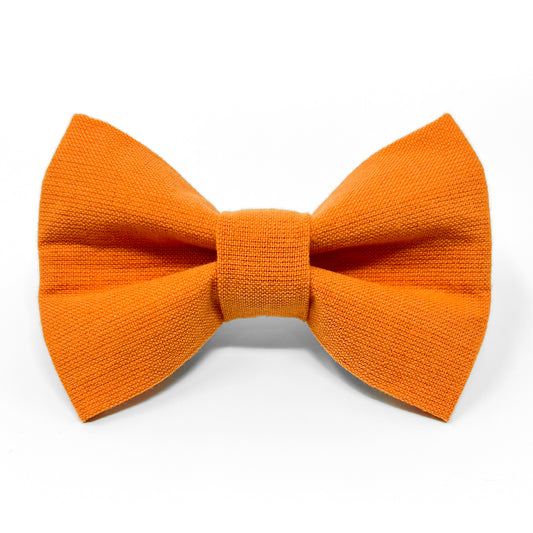 Solid Orange Dog Bow Tie