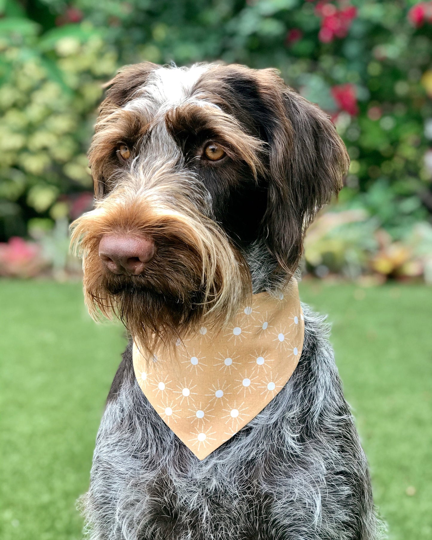 Boho Surf Van Tie On Dog Bandana