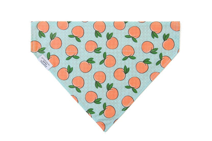 Georgia Peach Over the Collar Dog Bandana