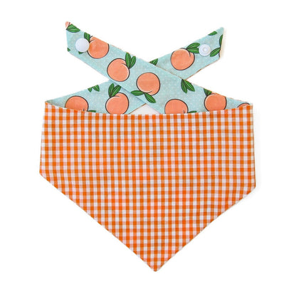 Georgia Peach Tie On Dog Bandana