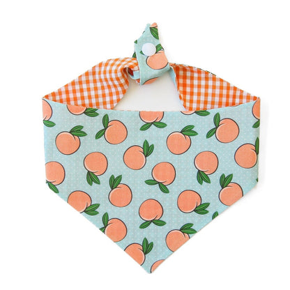 Georgia Peach Tie On Dog Bandana