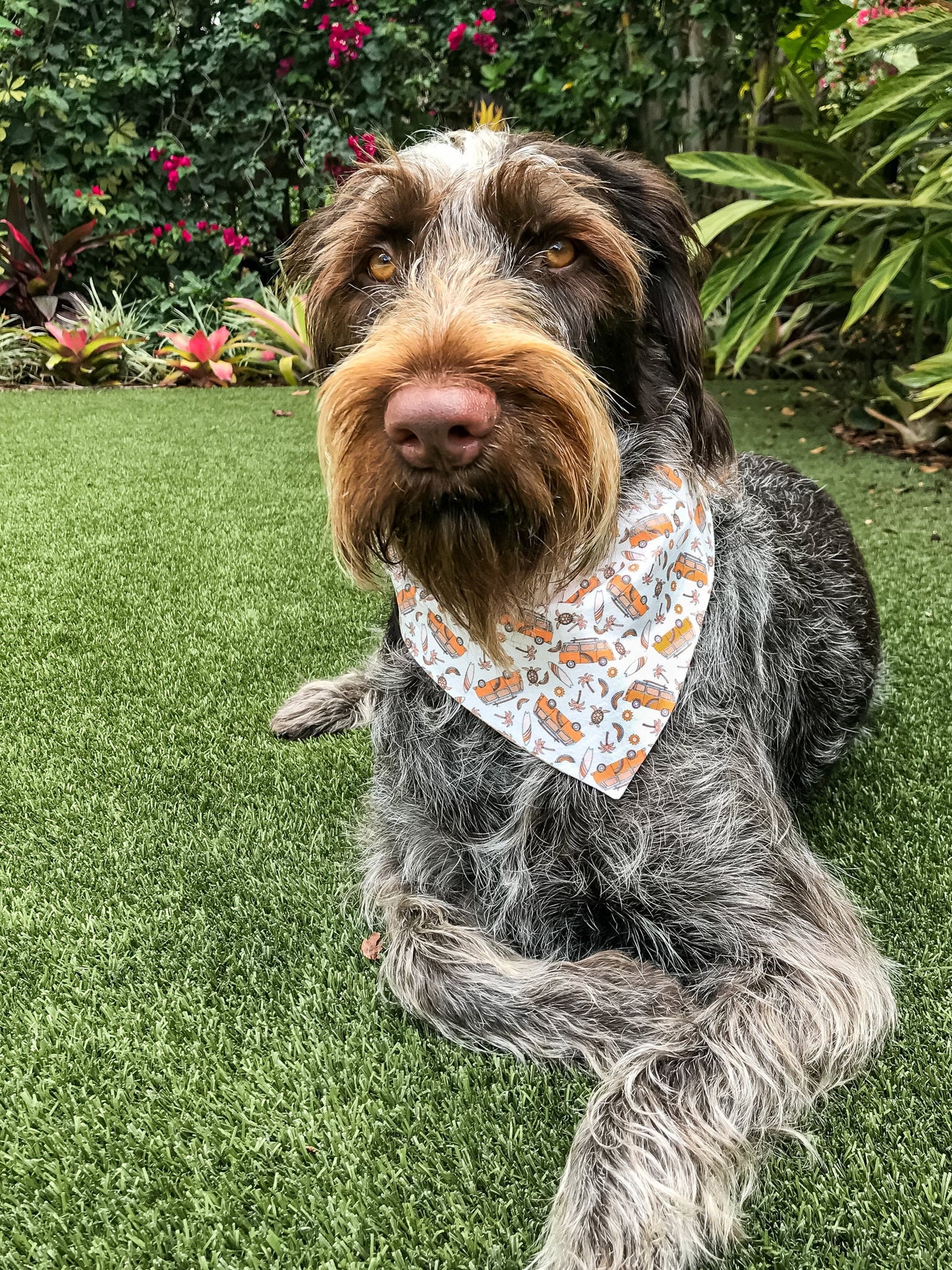 Boho Surf Van Tie On Dog Bandana