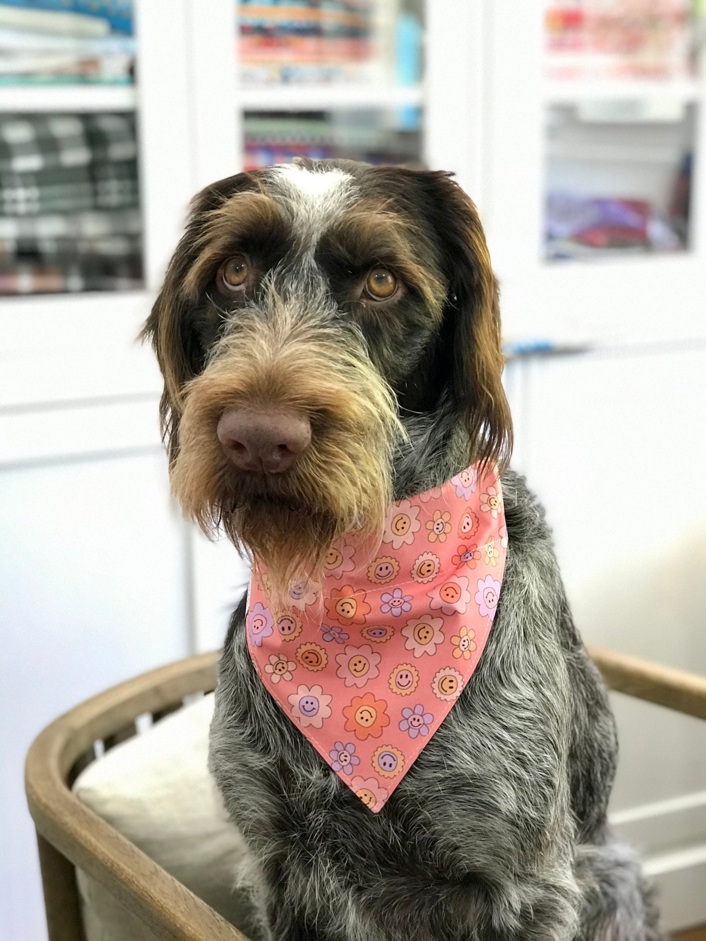 Happy Flowers Over the Collar Dog Bandana