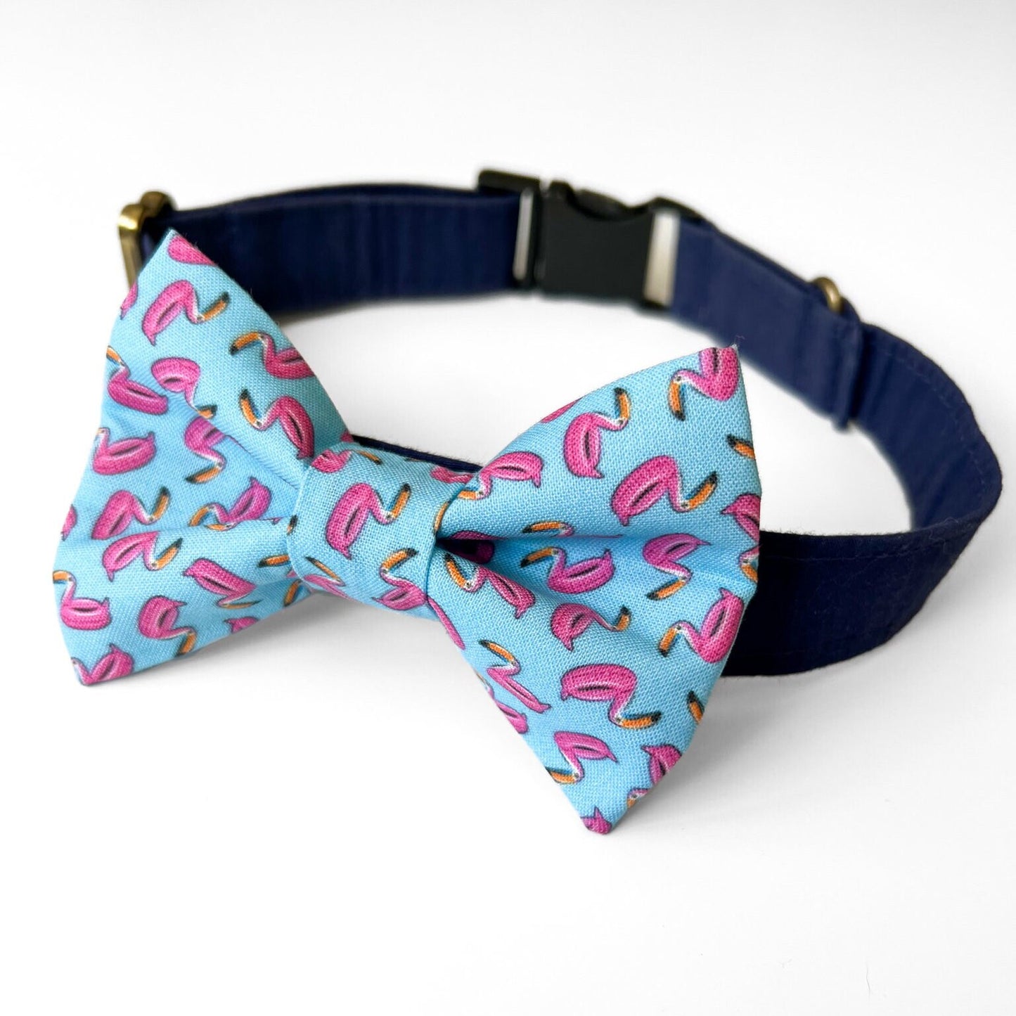 Toucan Pool Float Dog Bow Tie