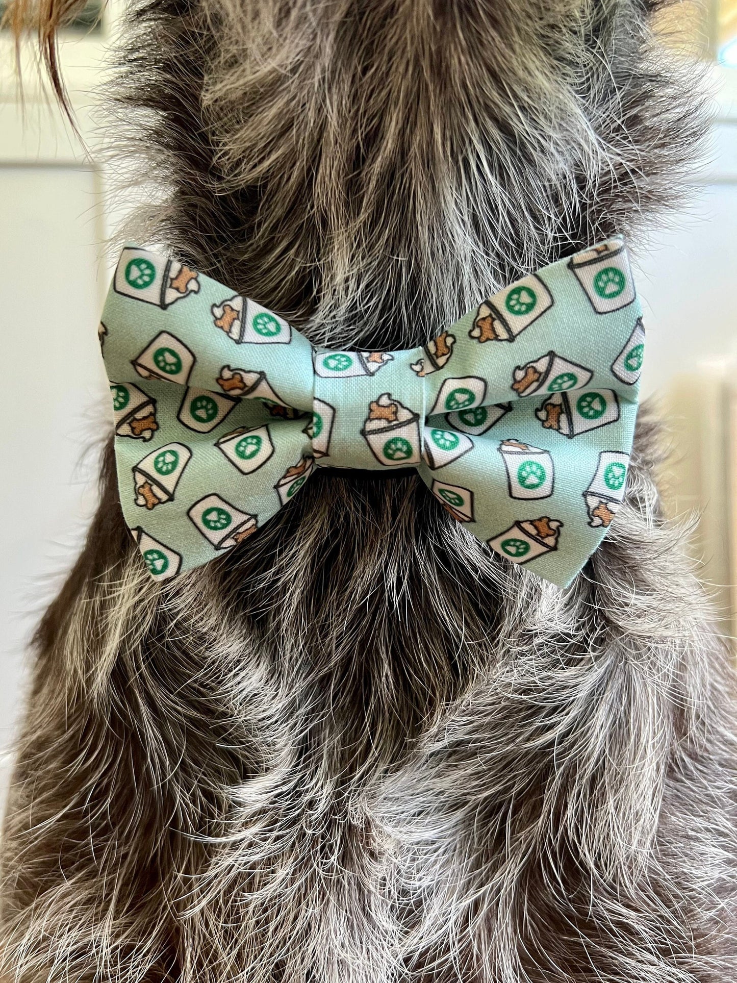 Mint Pup Cups Dog Bow Tie