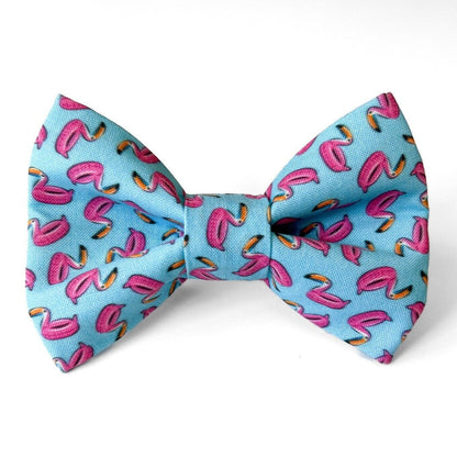 Toucan Pool Float Dog Bow Tie