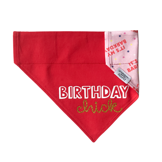 Birthday Chick Over the Collar Dog Bandana