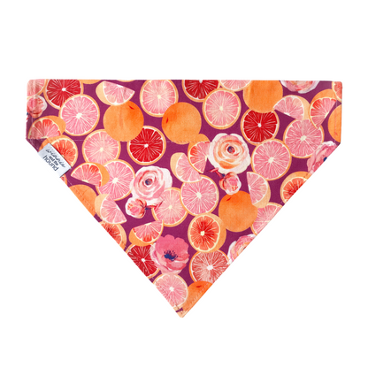 Pink Citrus Over the Collar Dog Bandana