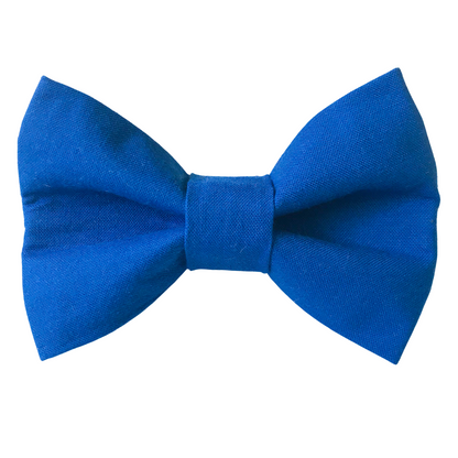 Royal Blue Dog Bow Tie